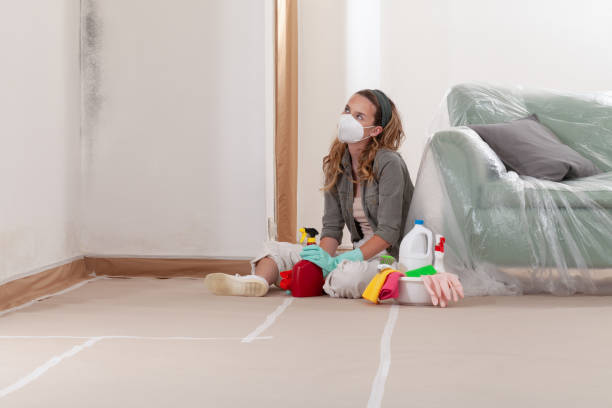 Reliable Bathroom Mold Removal contractor in Bloomfield, NJ by WQB Mold Removal
